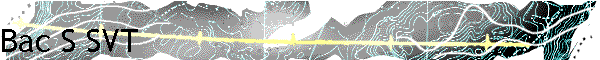 Bac S SVT
